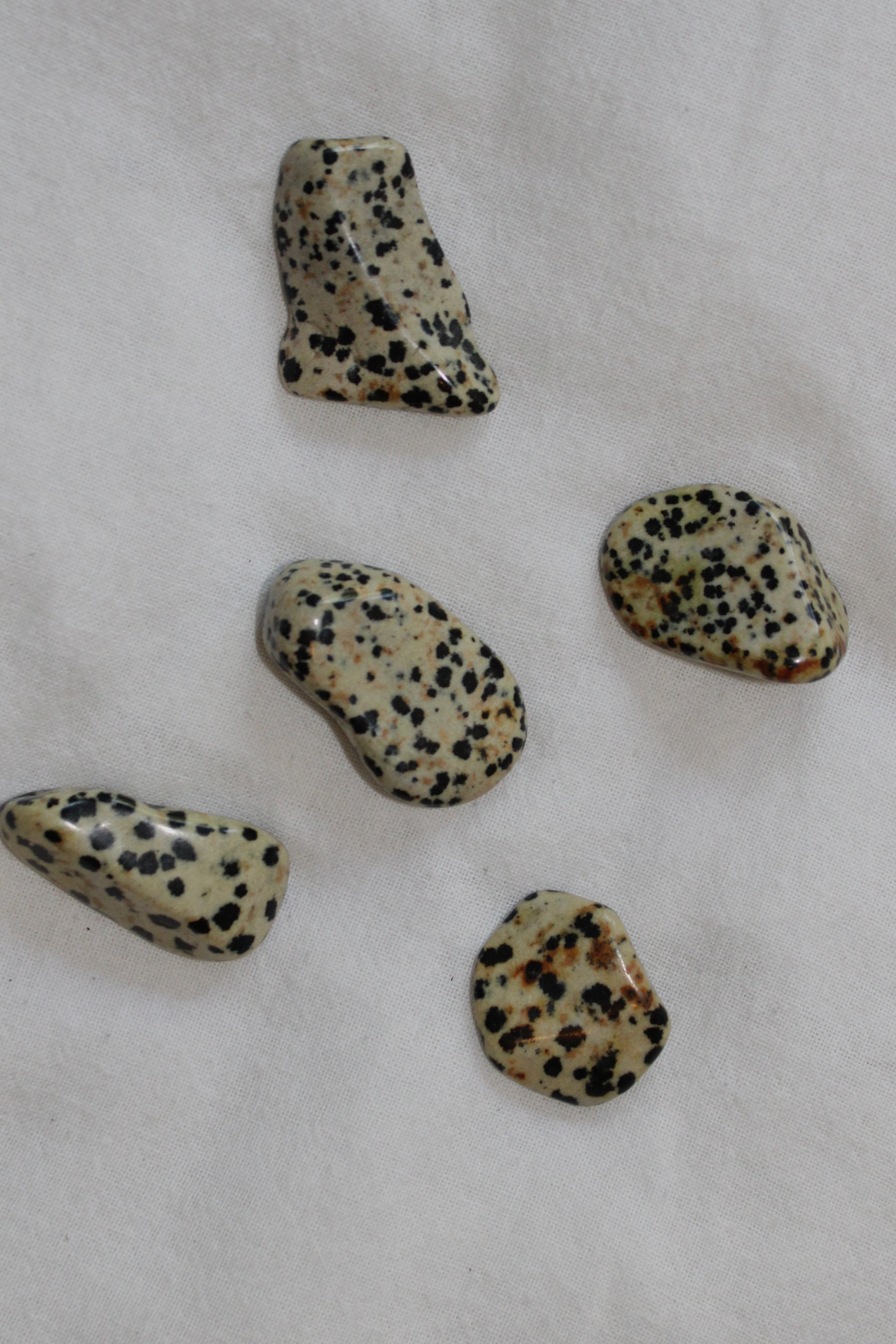 Dalmatian jasper tumble stone